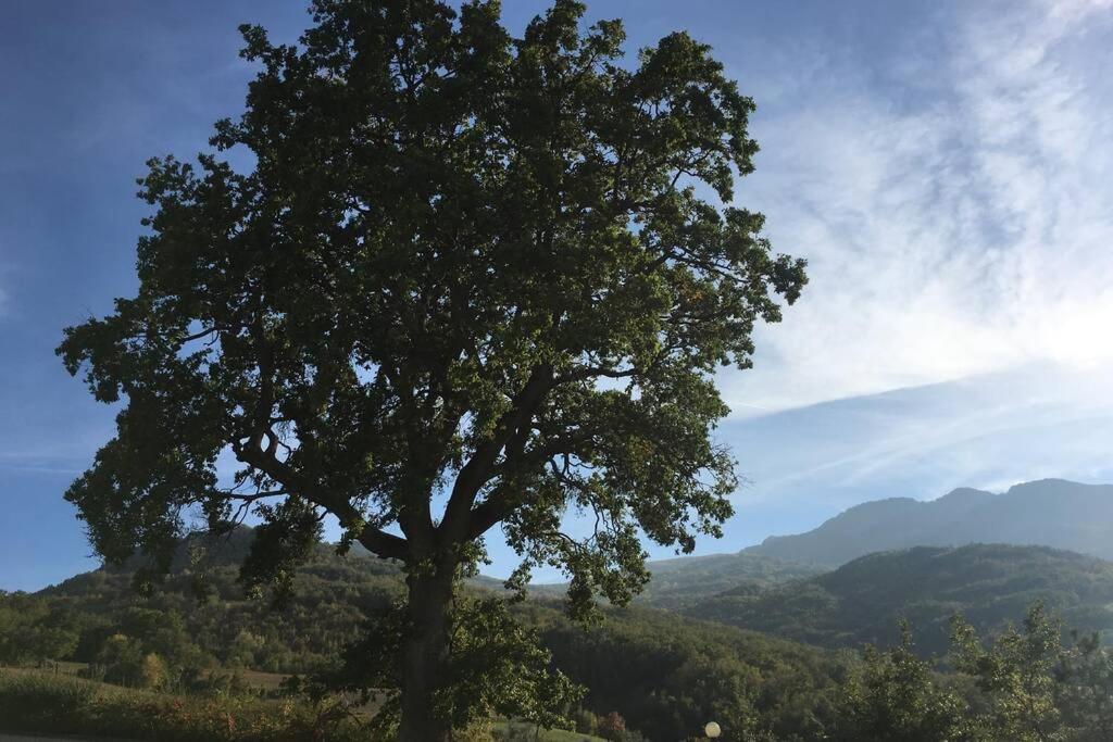 Villa Casa A Montebello Di Bertona Con Vista Gran Sasso Extérieur photo