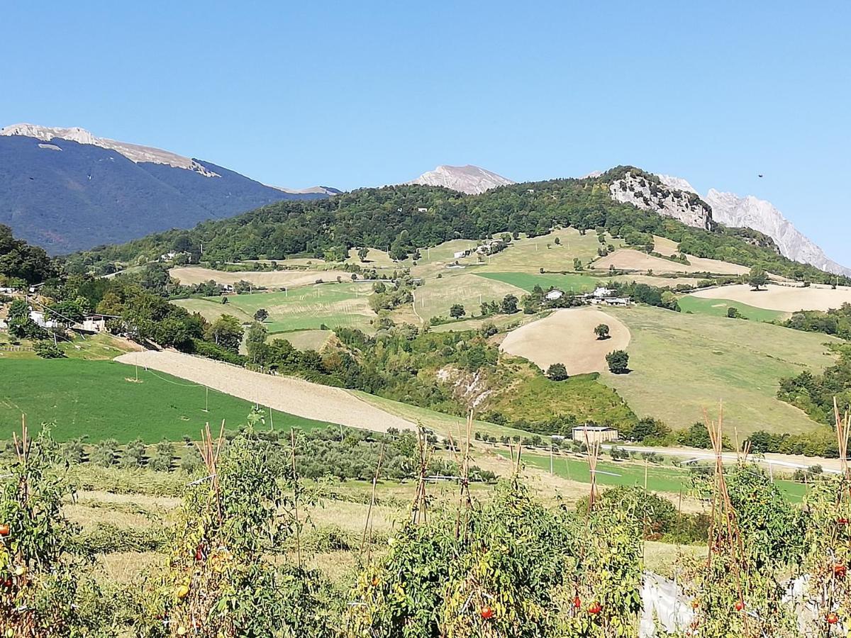 Villa Casa A Montebello Di Bertona Con Vista Gran Sasso Extérieur photo