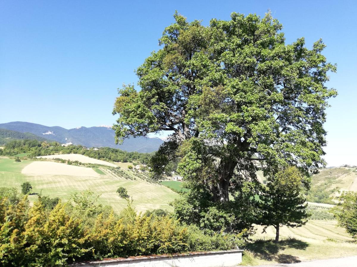 Villa Casa A Montebello Di Bertona Con Vista Gran Sasso Extérieur photo